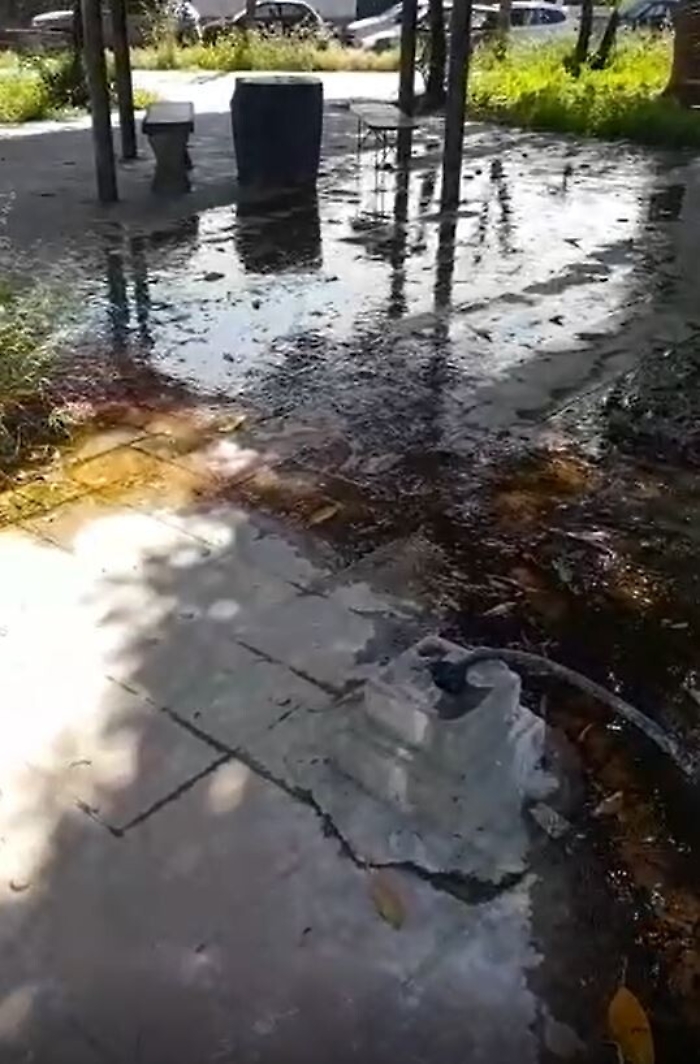 160343154-bc91f8c4-55a4-49f2-b1bc-50cad6c40804