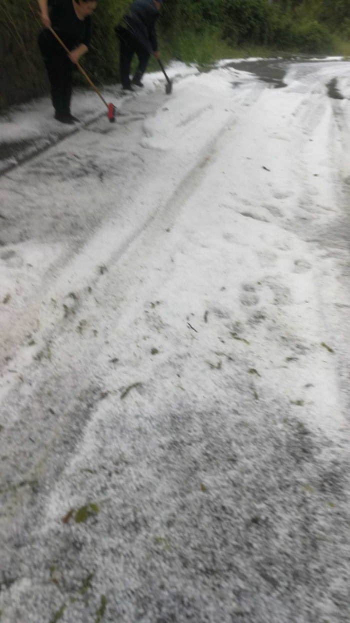 2022-05-08_108355228_1652019279189