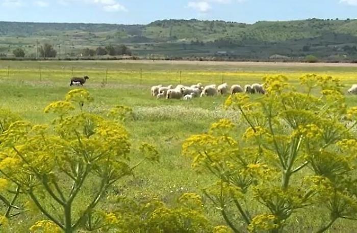 165937905-cc22afa6-1971-48ec-bf5b-8a988f65fb6f