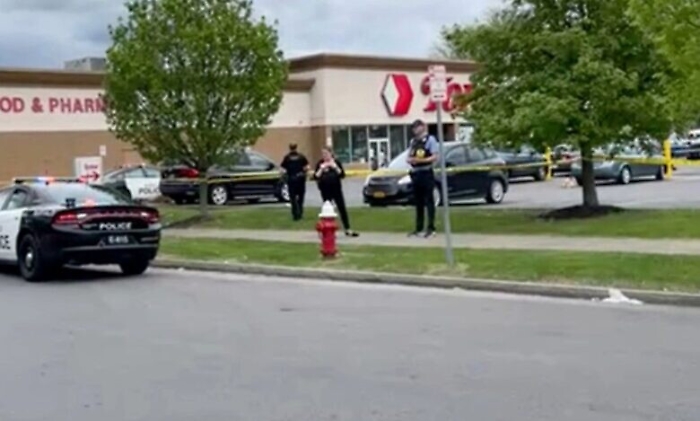 203711204-91664ecd-20f6-43bc-b63c-1f483fcb819f