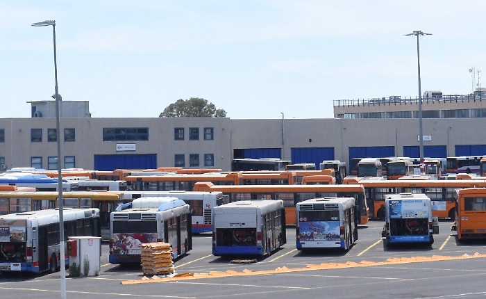 190020203-1d14dc85-1d2f-4998-bd91-0388d5a92953