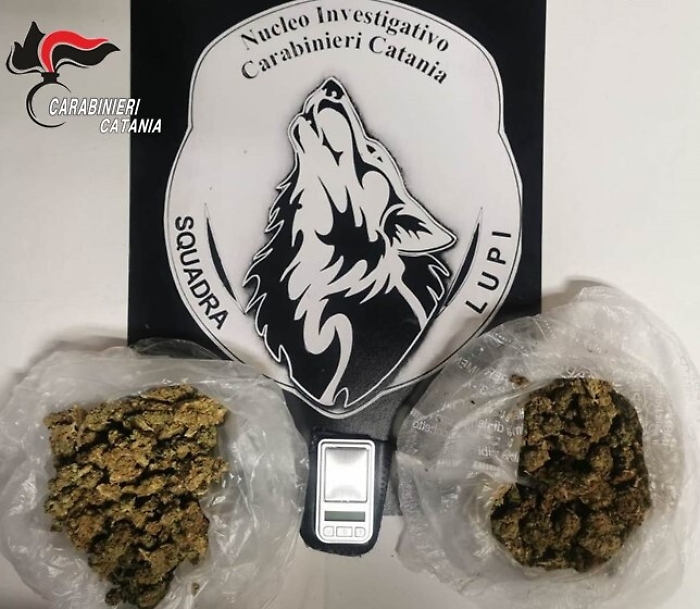 074011987-758da78c-ef19-48ea-8115-df20efea2fb1