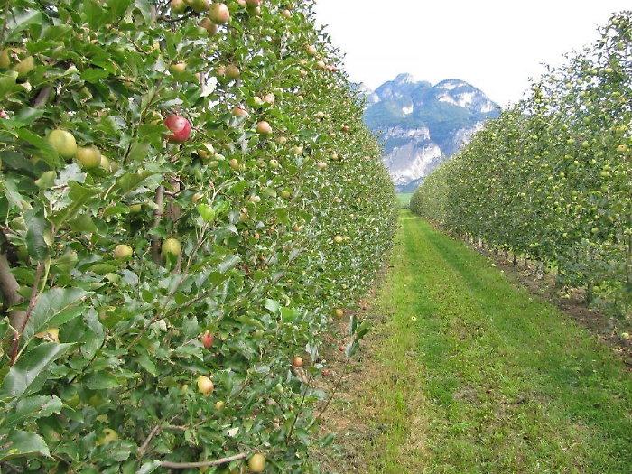 2022-05-16_116315619_1652689310556