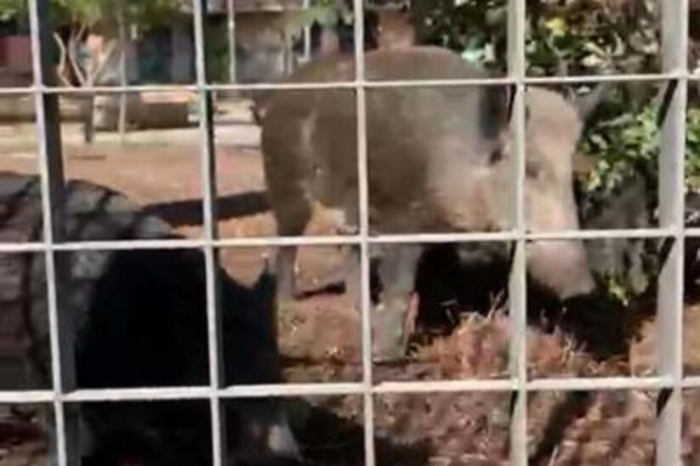 ADN20220516152759_1652708126322