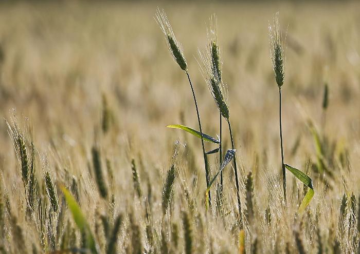 2022-05-20_120323367_1653049324760