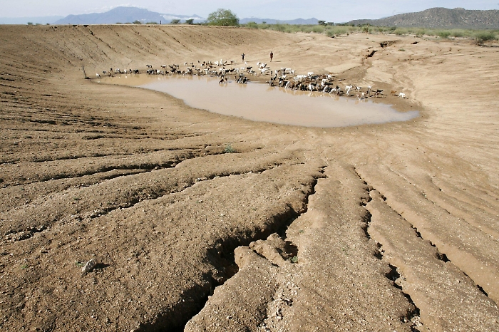 2022-05-20_120326706_1653056941891