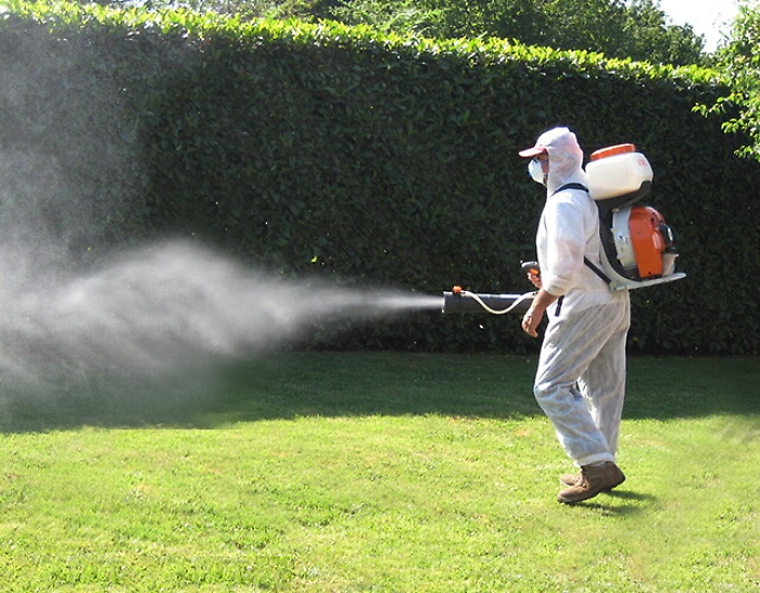 133734556-a4e7a7ca-64bc-4e95-a3a2-e1d21b7d8424