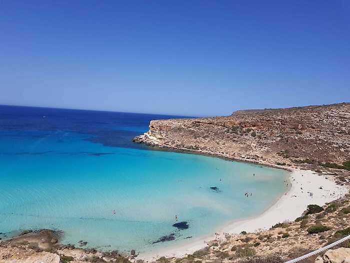 165936393-5197a1e9-9120-4a2c-9b4a-69fe23b82cd7