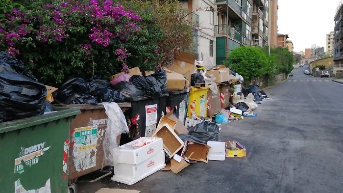 175834963-82b011de-083c-47d9-991d-4f4eb795f10e