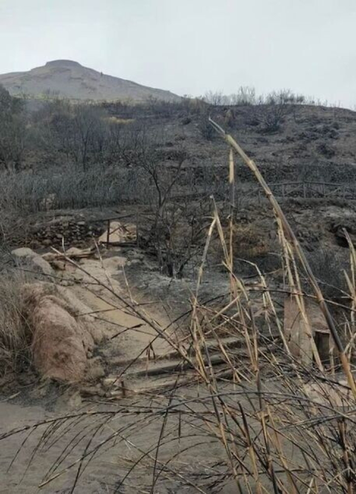 083528210-e0182e00-2167-4ba9-b097-ef42d3aaa2c5