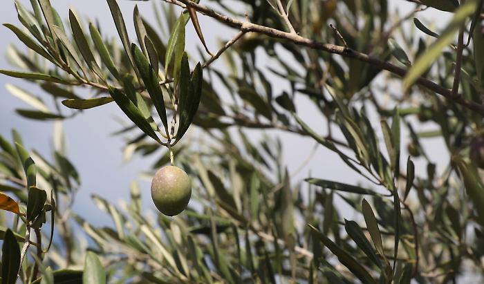 2022-05-28_128358191_1653755764366