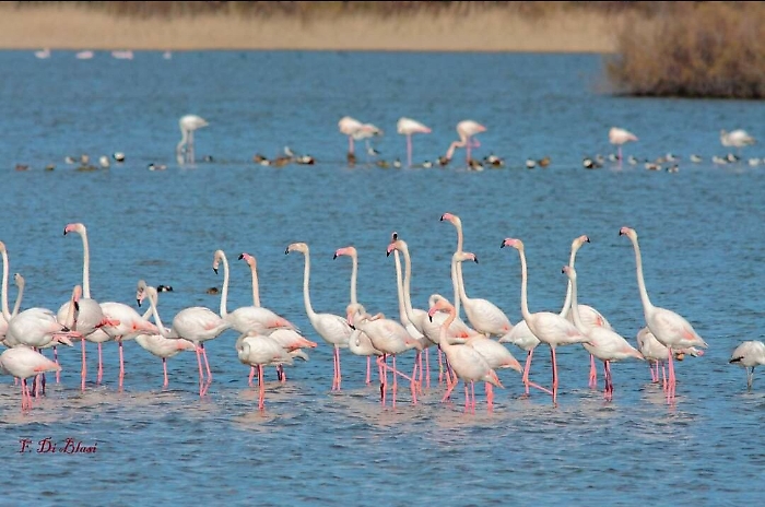 20220528164202-5_1653748982174