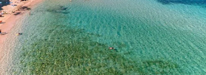 062351534-7d2d72c7-ffd3-47e0-8468-1e5bad5e964a