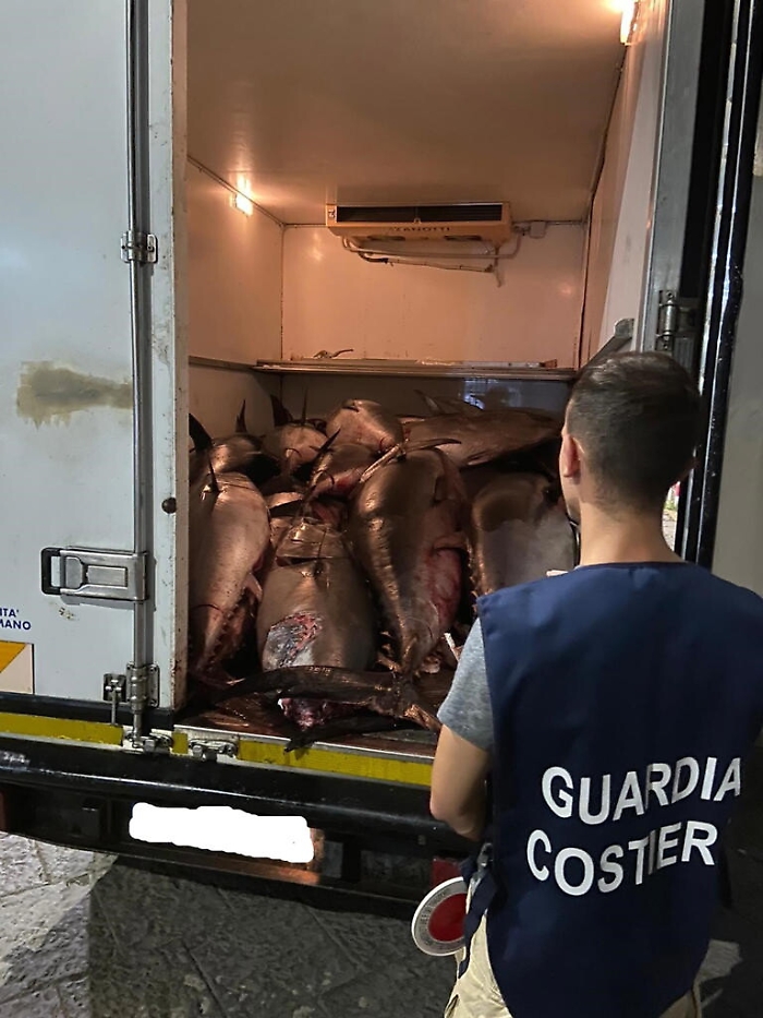 084623300-29018f58-f3bb-43fc-9353-accfcab5cf7e