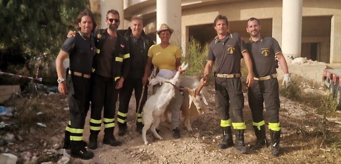 092607335-b188a282-fe07-4ad0-824b-5659c32e501b