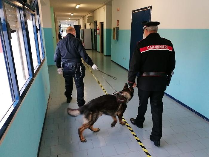 073130149-1a636430-201a-4e6b-aef1-8391eb06e9c1