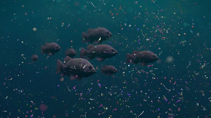 120337051-f3eb499e-1b1e-4260-8dec-a7e4c1097d73