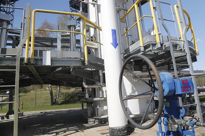 2022-06-03_103350752_1654241772728