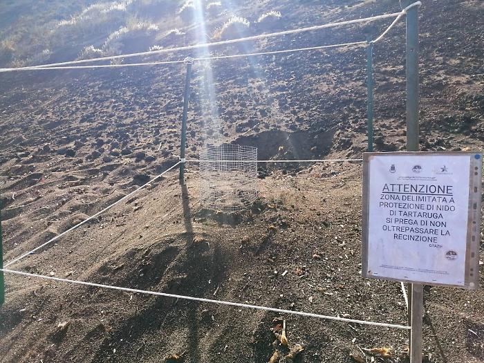 133007802-318a22e8-cee8-454b-902d-7cbf4e046805