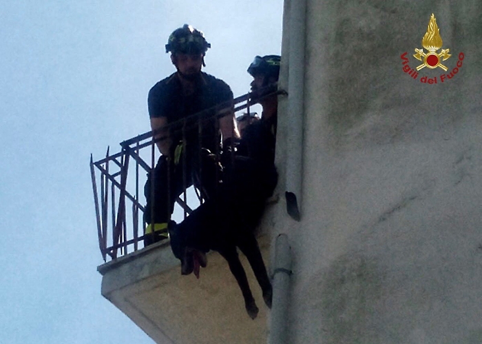 172823090-e5d7233f-d8fb-44ae-9d99-86428c00a7d6