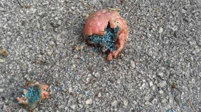 082244711-11fedbbe-3c37-4ad7-bc31-843b06c821bb