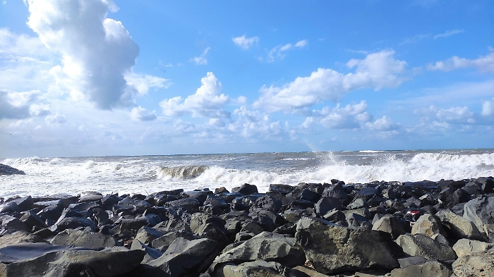 2022-06-11_111358757_1654963702597