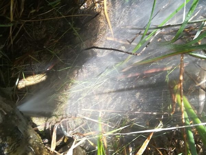 104913789-9e251b76-78ea-4e46-8ebb-6fe2212bb9af