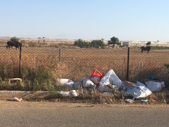 090444954-bf875477-a254-47e5-a4b4-c8b3284813c0