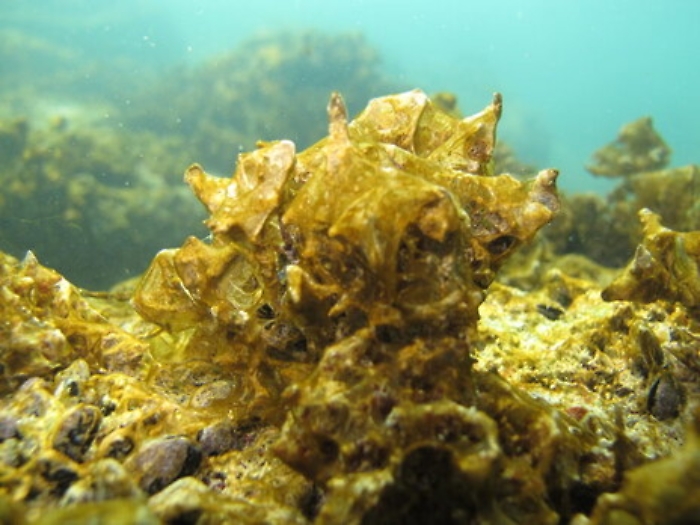 100538253-038ed78e-32de-4359-aad3-664a68dc980f