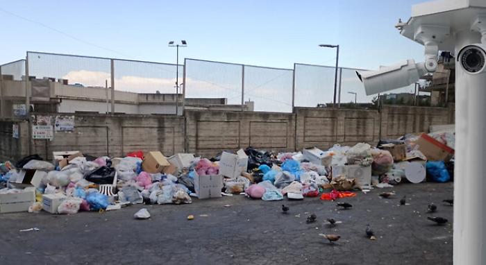 125402913-42925ad0-f788-4425-b0f3-06f738bf7f84