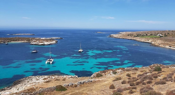 182542103-93d0f89a-4f0a-4fbf-9a04-13d6ec3c3a8c