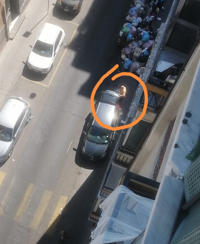 155046799-4174bc77-9771-457e-b4ef-dc3d0ece4db8