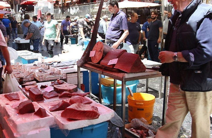 173952290-e891b388-5e63-40aa-abe1-50bba4c4f8c7