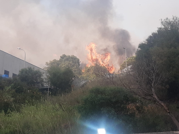 092106412-23f76070-2943-4ca4-a1c7-6a5e4881153c