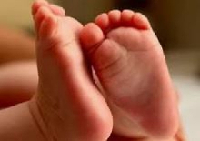 2022-06-26_126352578_1656237453718