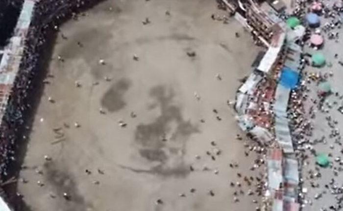 205751809-bd9c2249-0829-4ca6-8648-92183f3fb645