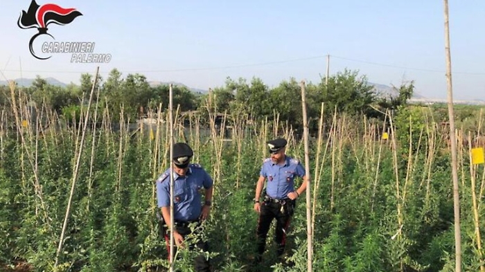 060325101-7727daa5-203f-45fc-88c4-3c599e2bc448