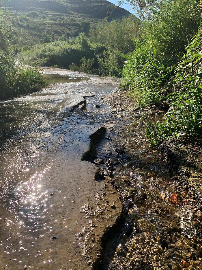 153026417-e307bf34-e5e8-4178-ab50-b22e60df06b5