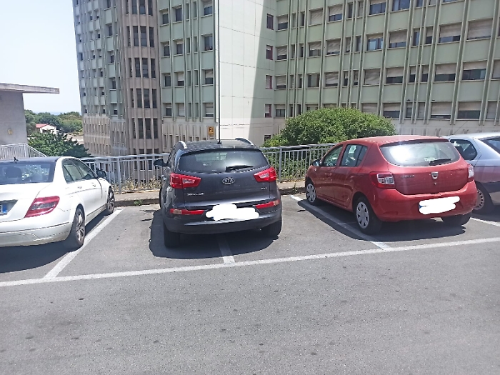 154130882-a4335d3c-b0e3-4508-9d13-6590cc34f3a6