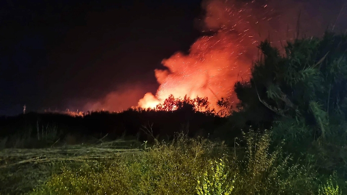 2022-06-28_128362879_1656401378043