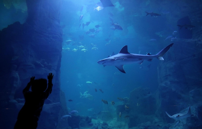 2022-07-03_103372333_1656864550652