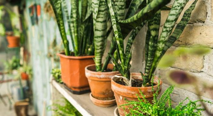 092524348-63af22bb-ed0a-48df-88df-af49a51c1b65