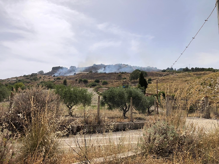 101155793-592e2411-2b92-4932-8196-5ae1ba9e5d36