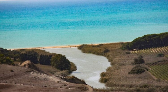 111343258-5b3d266c-442f-47e6-8055-973e109a132a