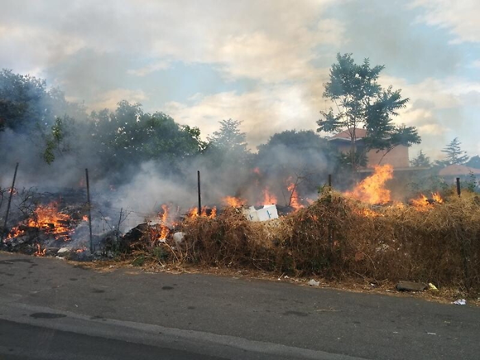 134117684-eaac085f-7266-4ceb-920a-9753422413a1