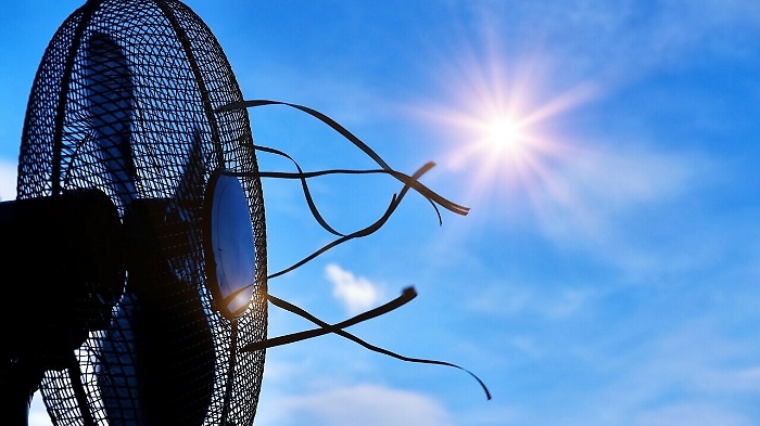 152837753-f242d4fb-092e-4028-aa53-6cd40dd7575f