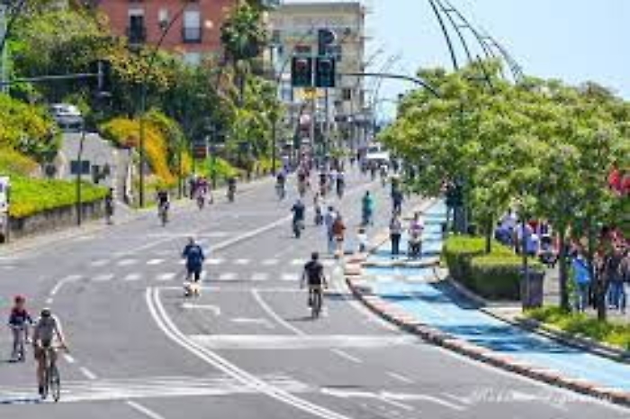 172722688-c155fa8f-bbc8-4e74-95e8-0f7c05d84993