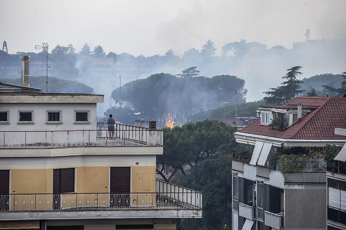 2022-07-10_110382713_1657471432500