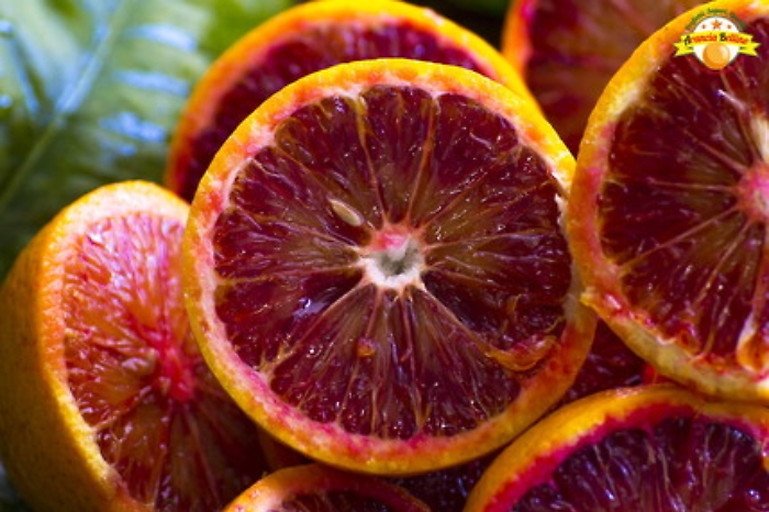 165103317-4f380399-ae95-4400-8ba7-a61dddb53fe4