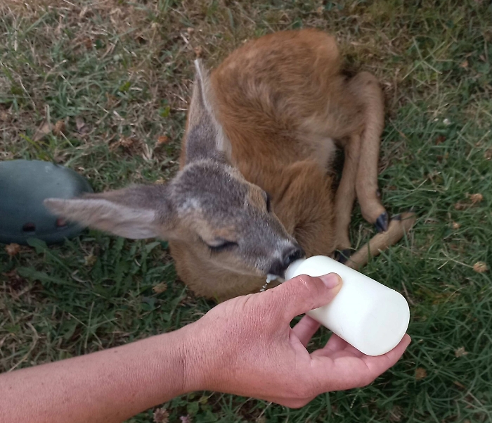 2022-07-18_118358251_1658134689372